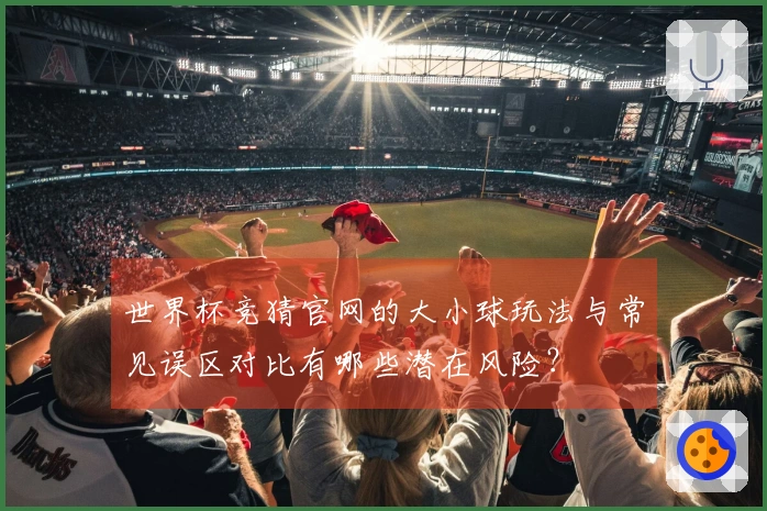 世界杯竞猜官网的大小球玩法与常见误区对比有哪些潜在风险?