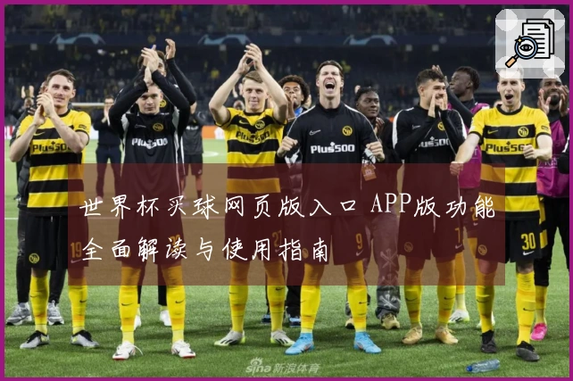 世界杯买球网页版入口 APP版功能全面解读与使用指南