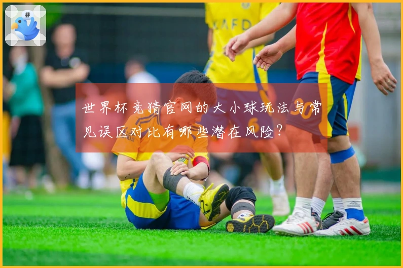 世界杯竞猜官网的大小球玩法与常见误区对比有哪些潜在风险？