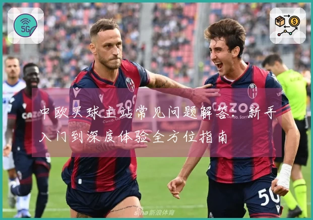 中欧买球主站常见问题解答：新手入门到深度体验全方位指南