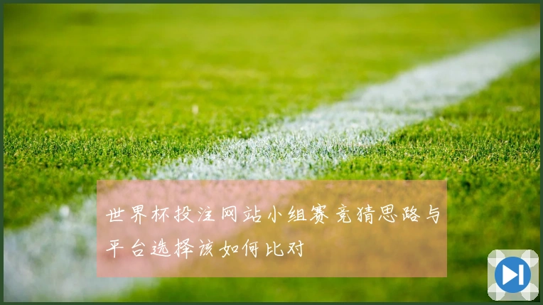 世界杯投注网站小组赛竞猜思路与平台选择该如何比对