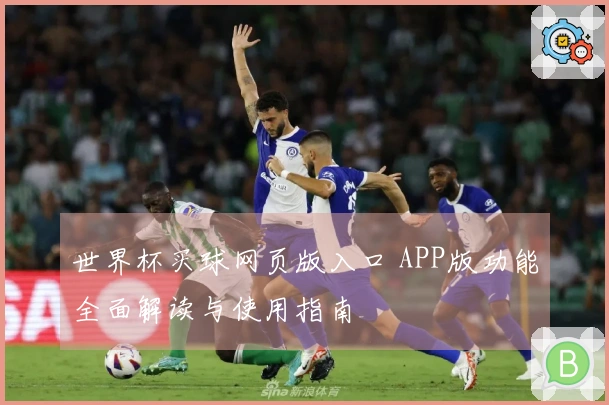 世界杯买球网页版入口 APP版功能全面解读与使用指南