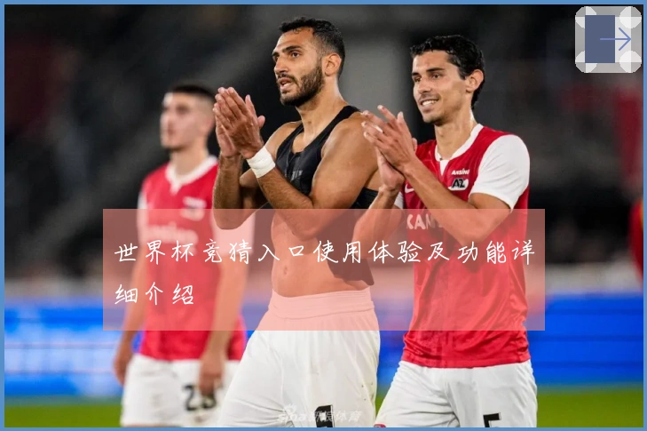世界杯竞猜入口使用体验及功能详细介绍