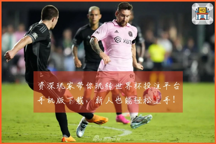 资深玩家带你玩转世界杯投注平台手机版下载,新人也能轻松上手!