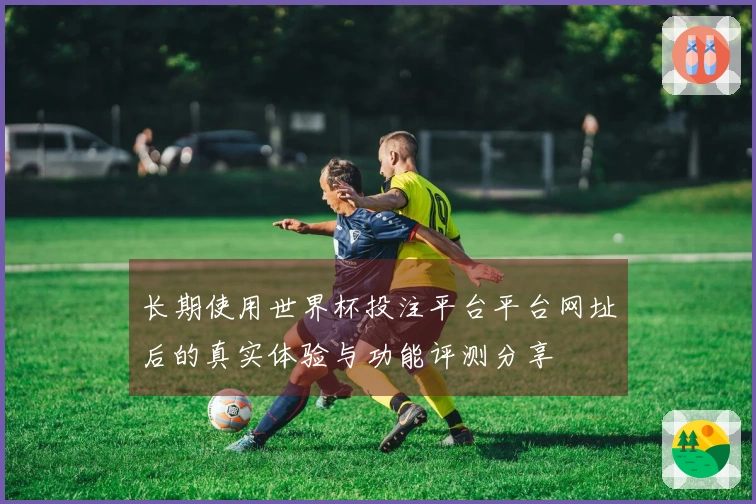 长期使用世界杯投注平台平台网址后的真实体验与功能评测分享