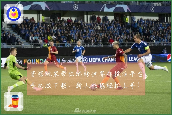 资深玩家带你玩转世界杯投注平台手机版下载，新人也能轻松上手！