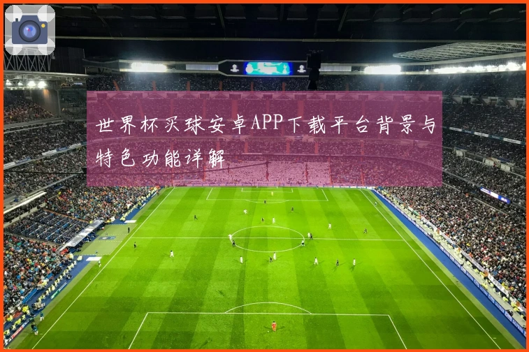 世界杯买球安卓APP下载平台背景与特色功能详解