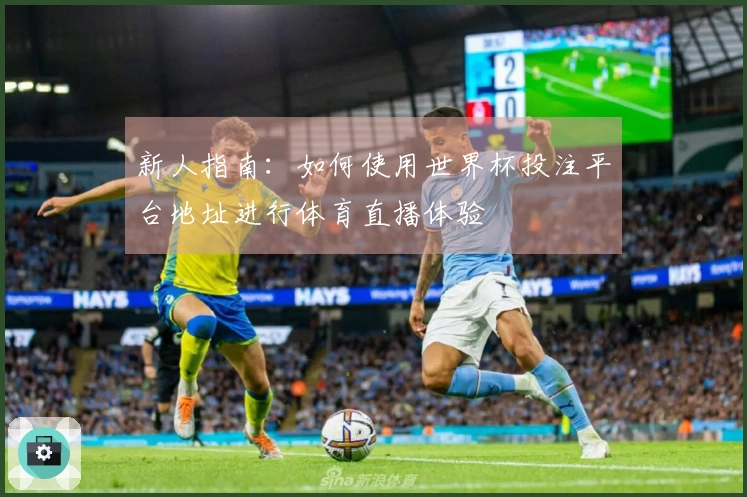 新人指南：如何使用世界杯投注平台地址进行体育直播体验